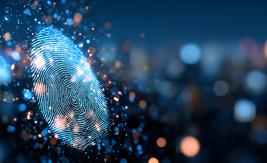 Fraud Detection & Prevention