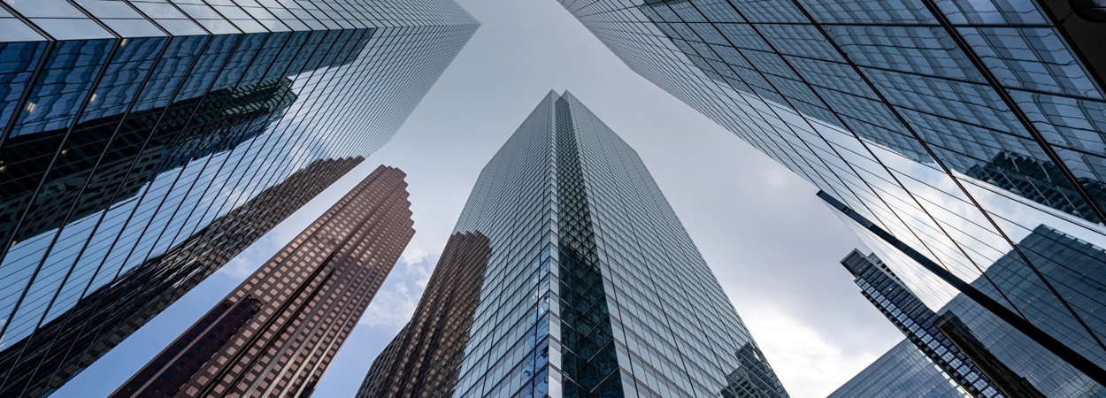 Banking, Financial Services, & Insurance
