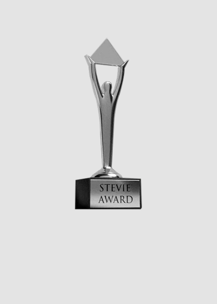Silver Medal for Innovation in Human Resources Management