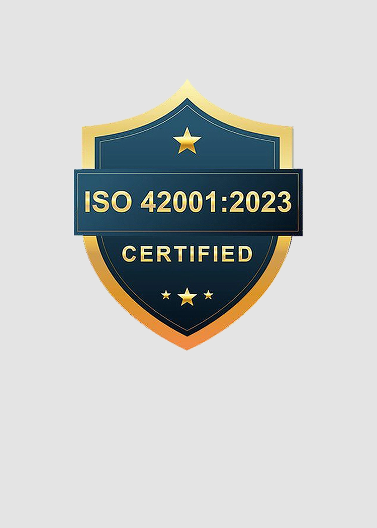 ISO standard for AI Management Systems